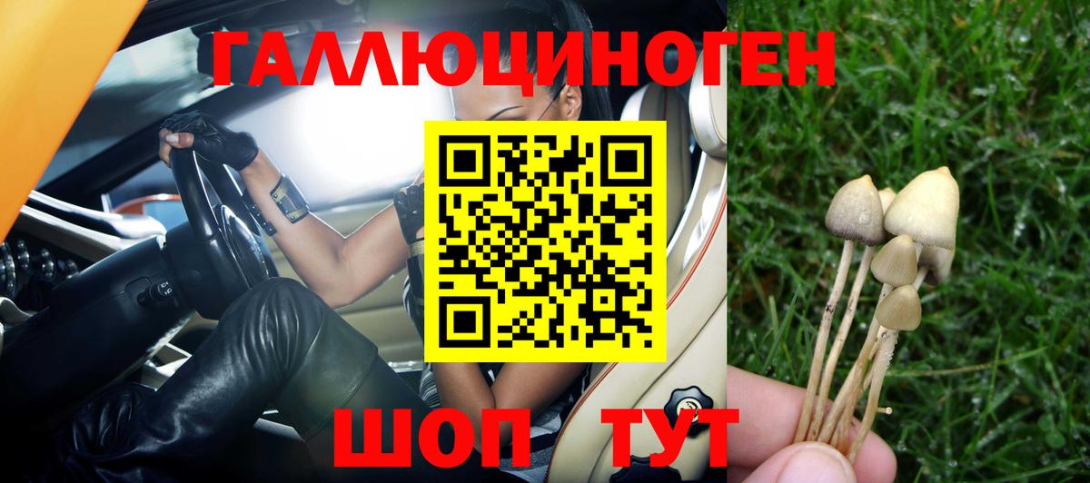 Галлюциногенные грибы Psilocybine cubensis  что такое наркотик  Жуковский 